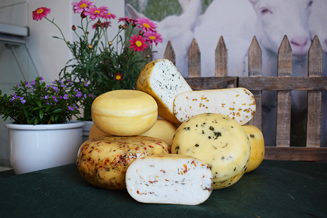 Ziegenschnittkäse